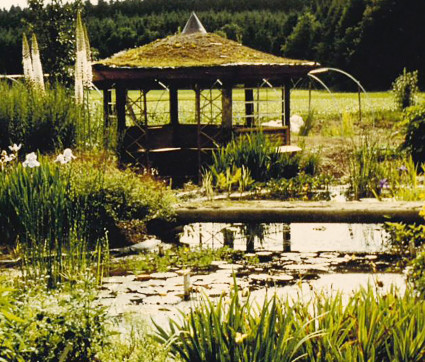 1990: Mutterpflanzen - Teich