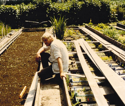 1990: Wasserpflanzen