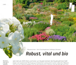 Robust, vital und bio