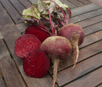 Rote Rübe 'Rote Kugel 2'