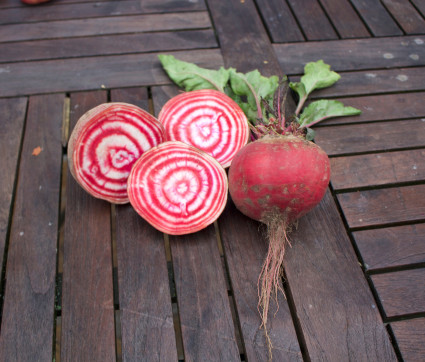 Rote Rübe 'Tondo di Gioggia'