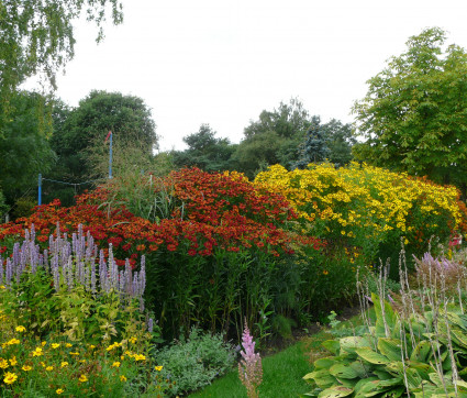 Helenium-Stimmung