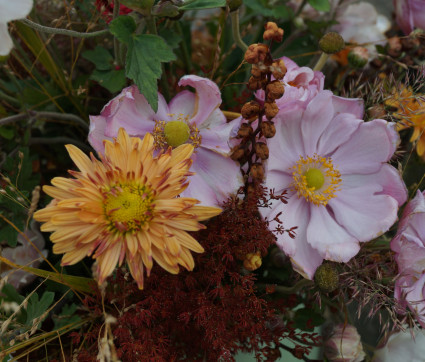 Strahlende Herbstschönheit