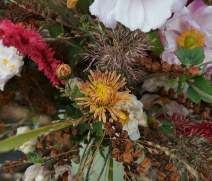 Strahlende Herbstschönheit