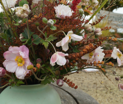 Strahlende Herbstschönheit