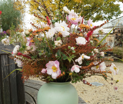 Strahlende Herbstschönheit