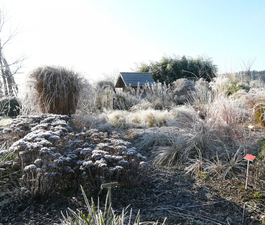 Winter-Impression